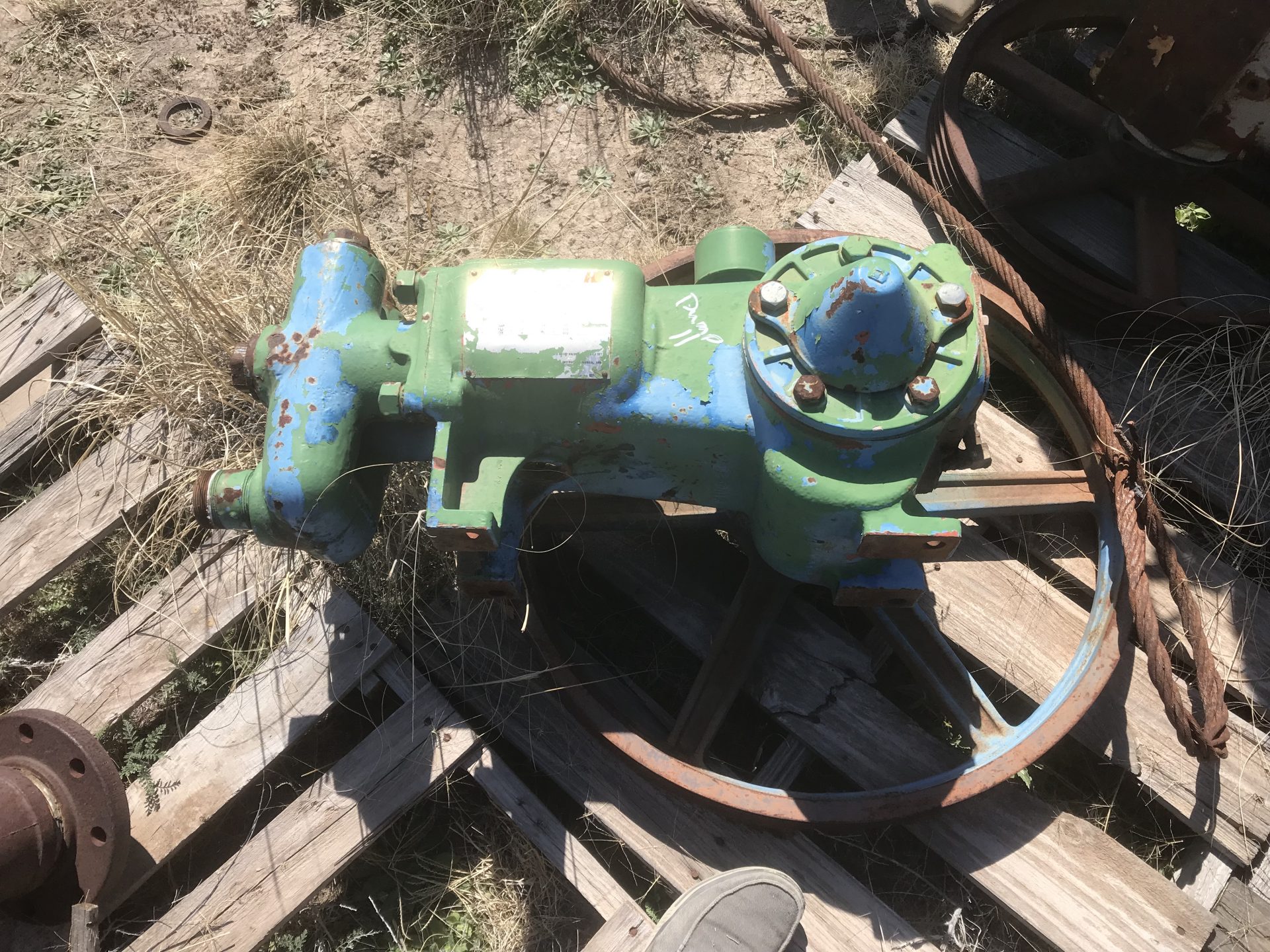 P100A wheatley Replicate Pump